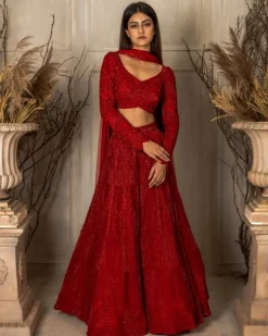 Ulyana Lehenga Set