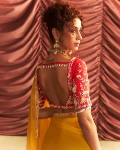 Usha Sari Set