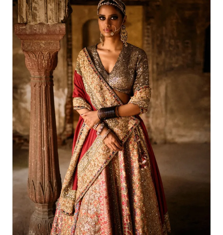 Uzbek Print Multi Panel Lehenga Set