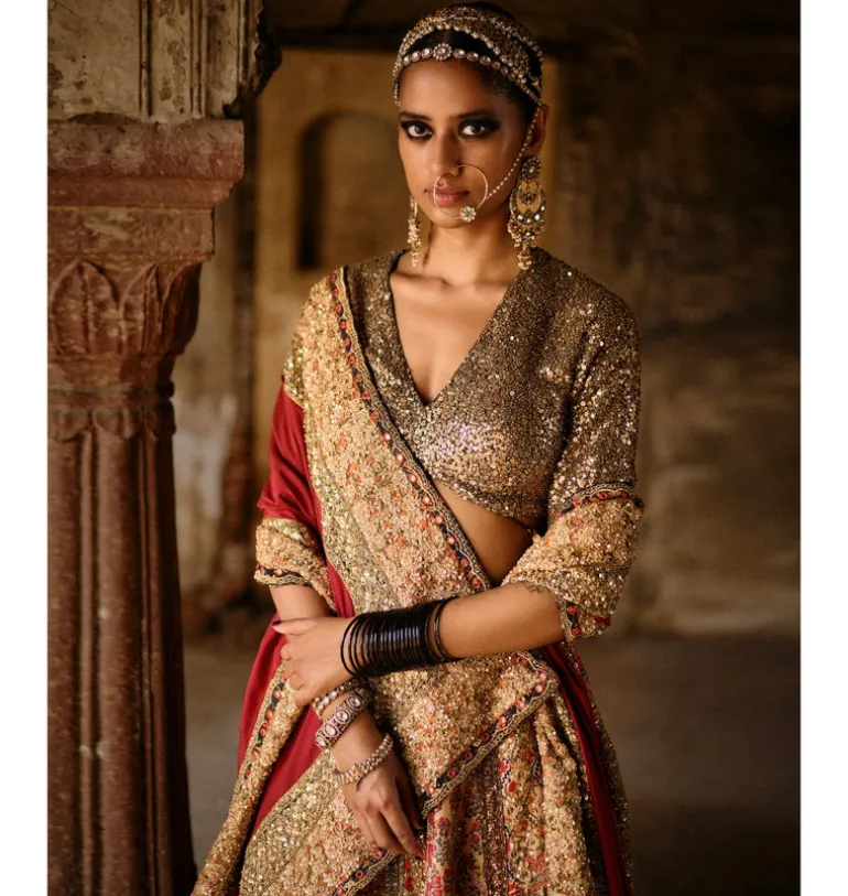 Uzbek Print Multi Panel Lehenga Set