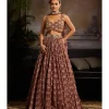 Vivid Reverie Lehenga Set