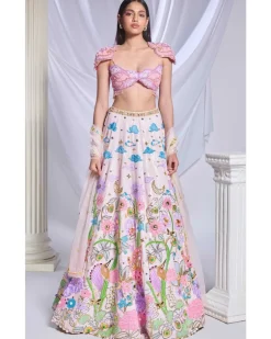Whimsical Wonderland Lehenga Set