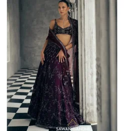Wine Net Applique Lehenga Set