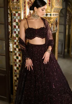 Wine Sequin Lehenga Set