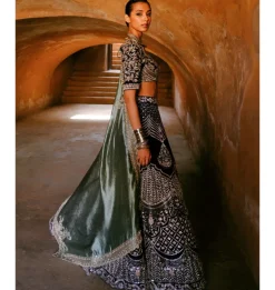 Yamini Zardozi Embroidered Lehenga Set