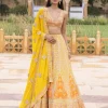 Yellow Colourful Mirror Embroidered Lehenga Set