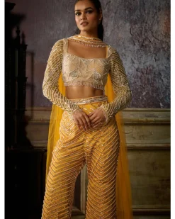 Yellow Fully Embroidered Blouse, Pant And Choker Dupatta
