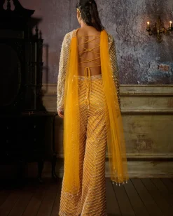Yellow Fully Embroidered Blouse, Pant And Choker Dupatta