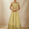Yellow Net Embroidered Lehenga Set