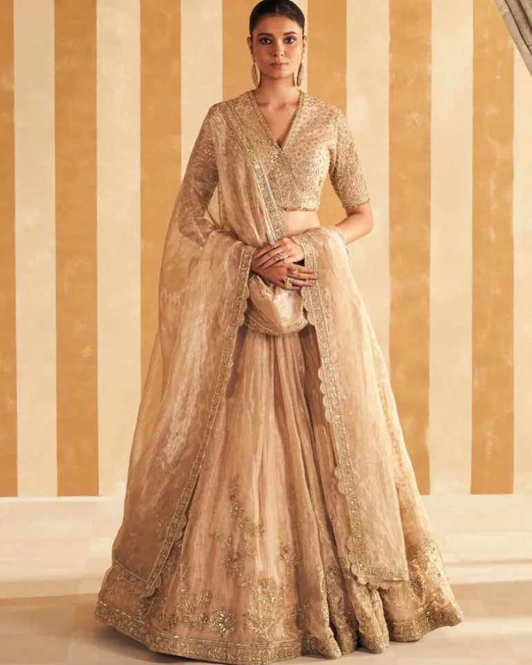 Zarina Lehenga Set