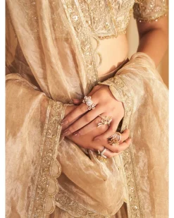 Zarina Lehenga Set