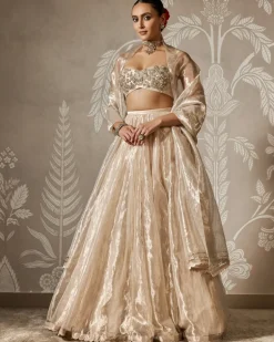 Zarish Lehenga Set