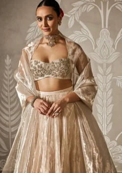 Zarish Lehenga Set
