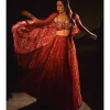 Ziba Lehenga Set