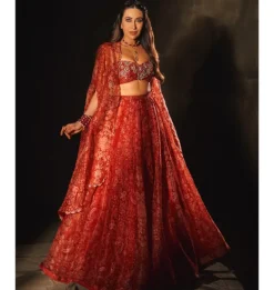Ziba Lehenga Set