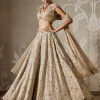Ziva Lehenga Set
