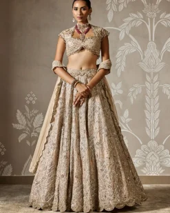 Ziva Lehenga Set